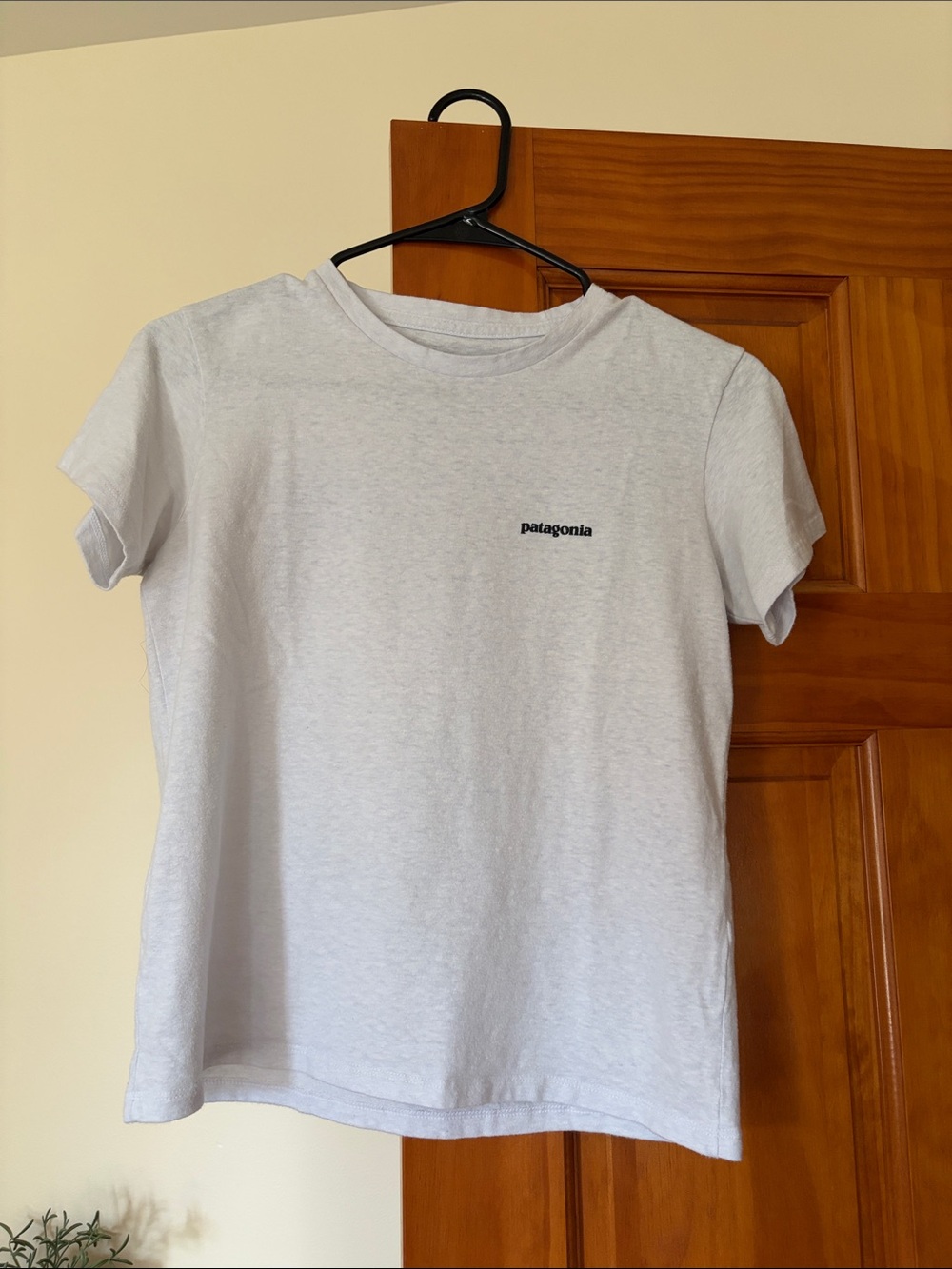 Patagonia Light Grey/Blue XS Tee